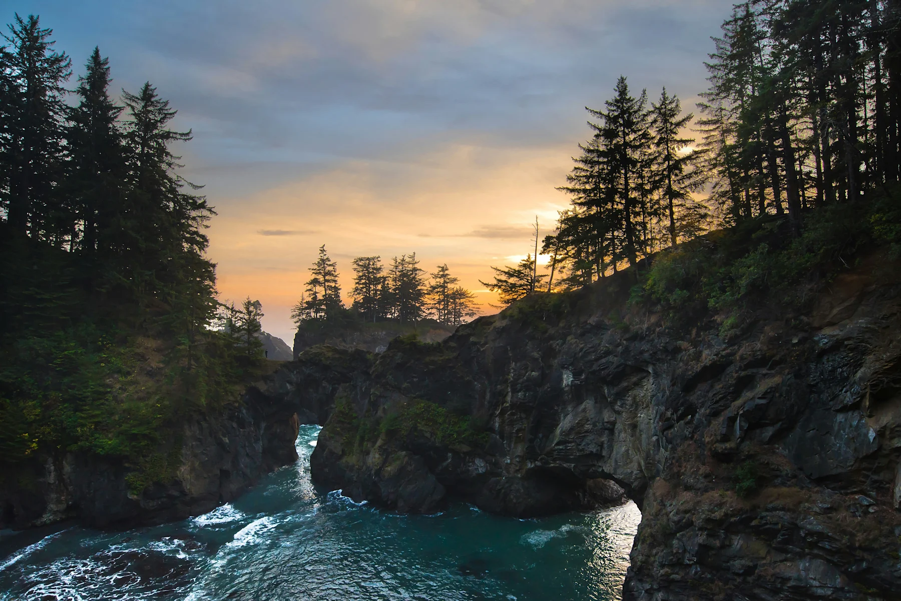 Medicare Supp Plan Oregon Image