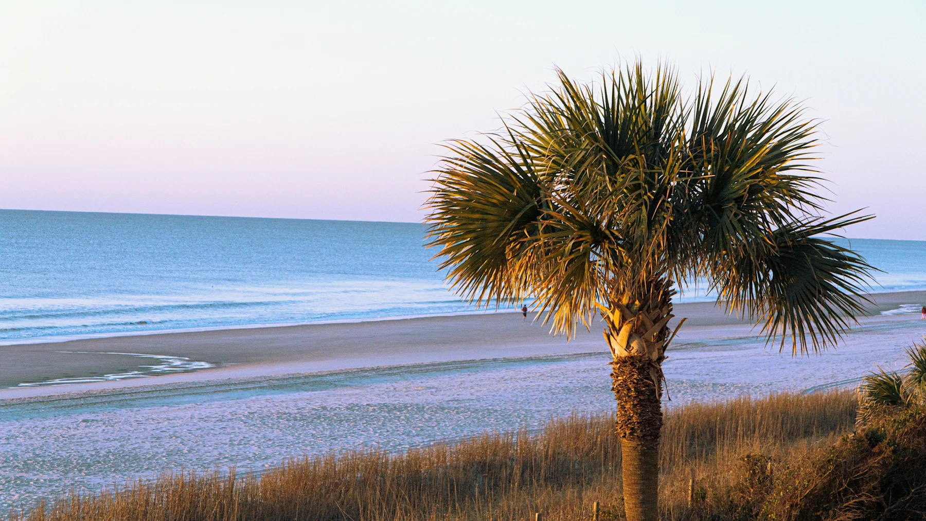 South Carolina Supplement page