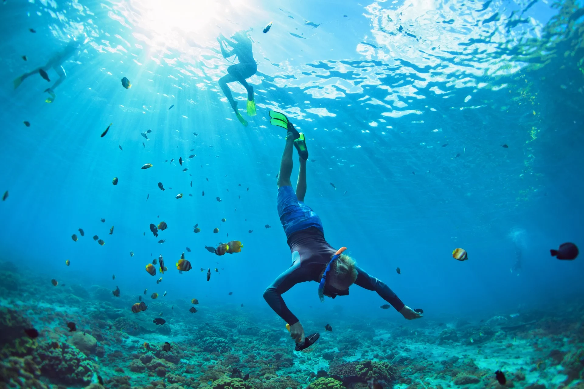 Snorkeling-Inagua-Islands-Bahamas