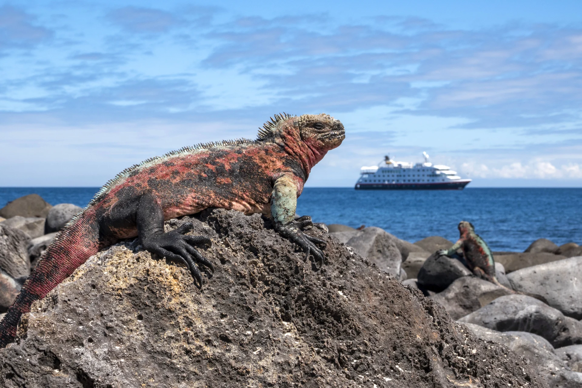 Galápagos Islands Expedition Cruise—Nine of the Best Isles