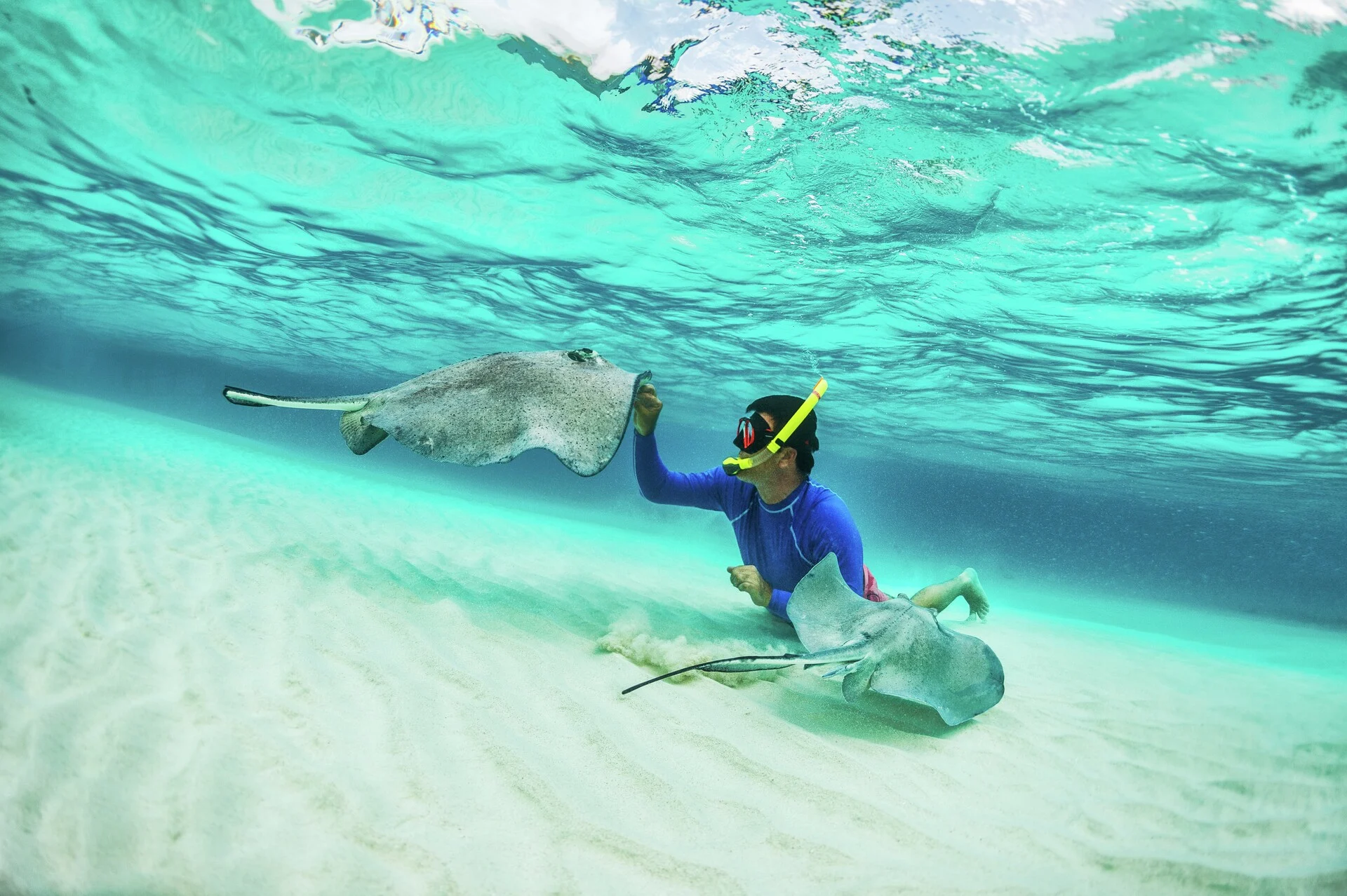 Snorkelling-Ecuador-Galápagos