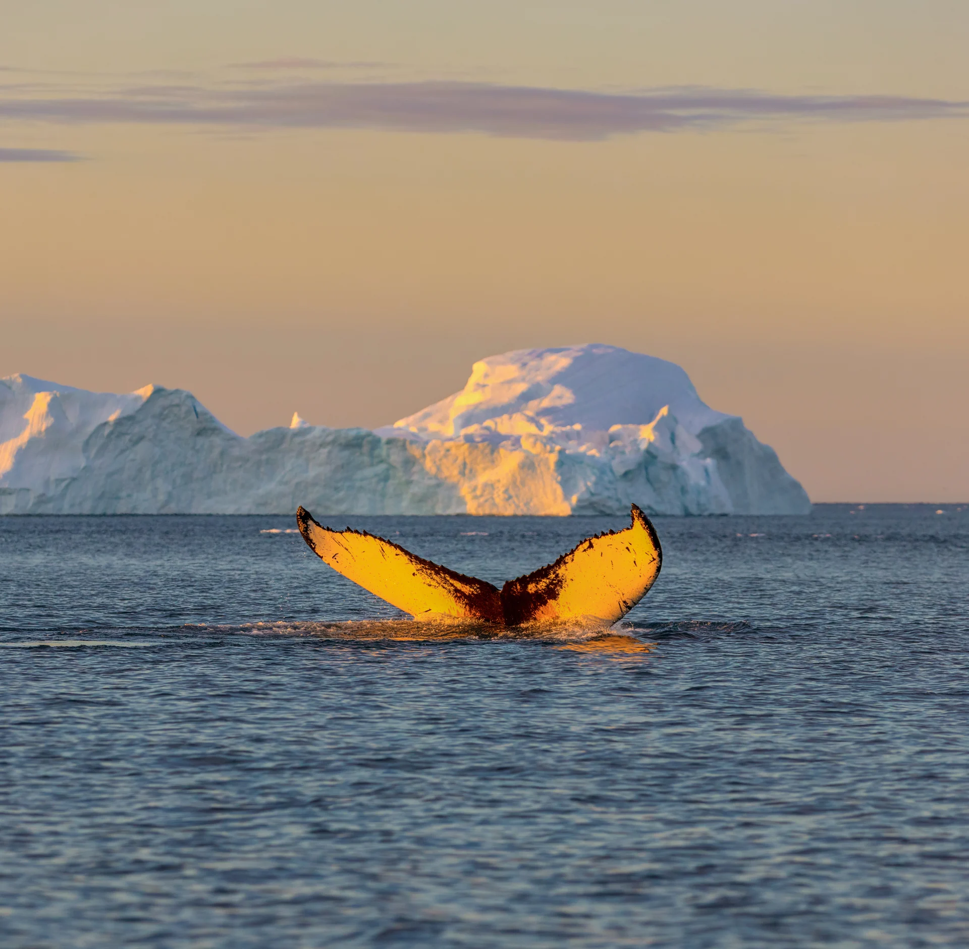 Iceland, Greenland and Northwest Passage – Great Explorer Trail 