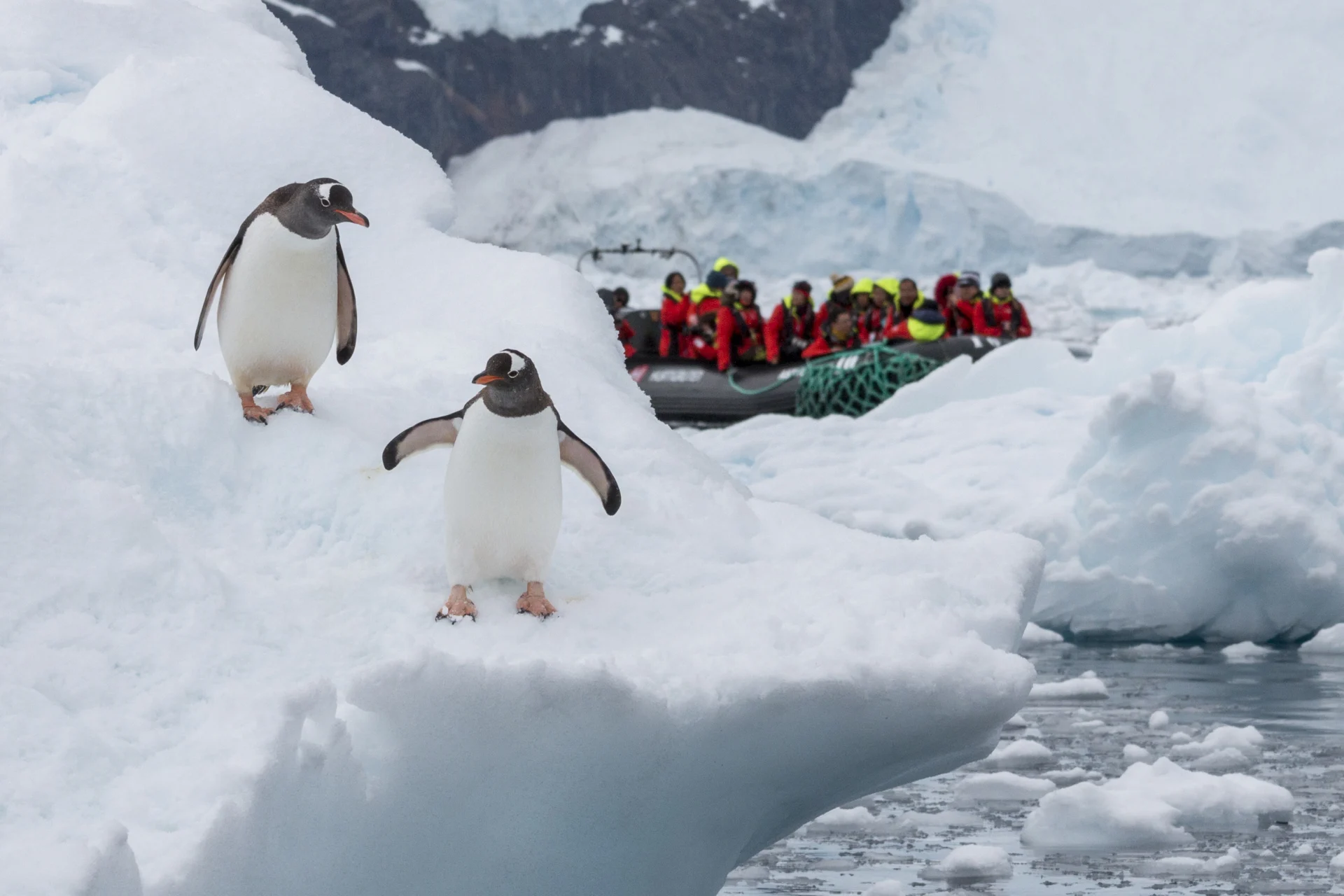 Seværdigheder i Antarktis