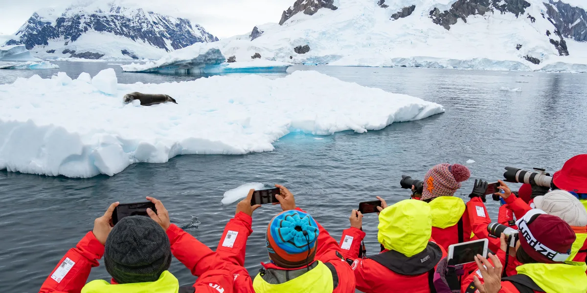 All inclusive Highlights of Antarctica