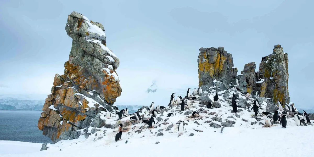 All Inclusive In-depth Antarctica & Patagonia Expedition (Northbound)