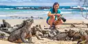 Woman photographing a Marine iguana on beach, Galapagos.