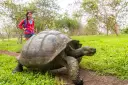 Gigant tortoise next to a woman