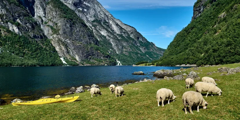 Spring Expedition Cruise to Norway’s Fjords from Dover