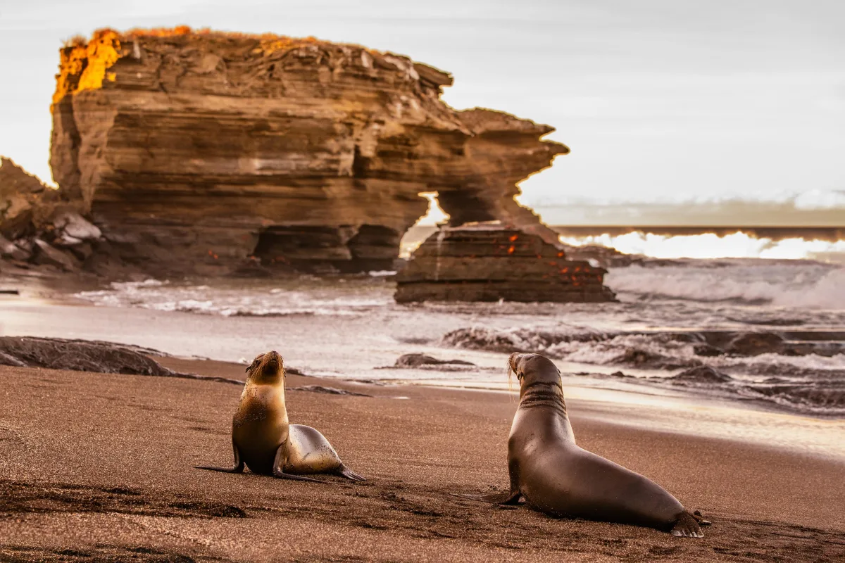 All-inclusive Galapagos Islands Expedition Cruise - Nine of the Best Isles