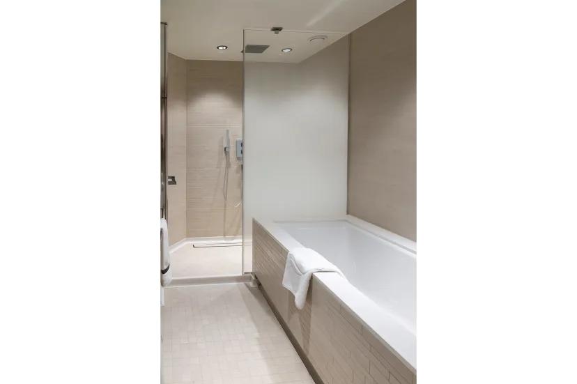 mb xl suite bathroom 2