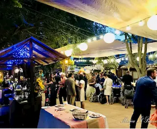 Música para el cocktail en directo