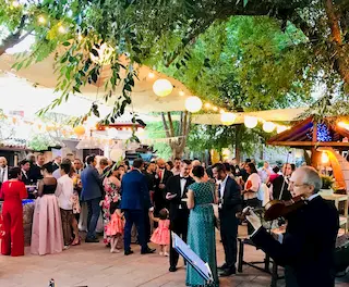 Grupo de música para coctel