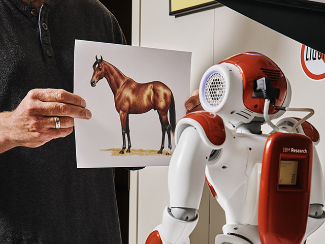 一只手，向小型机器人展示一张马的照片