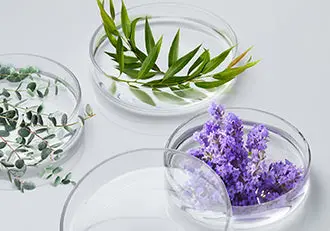 105657 Ban Website Redesign Mobile Assets Update Transp Banner DyeFree 375x262 d65bedd7-88f4-4797-b242-9de5849e6b0f