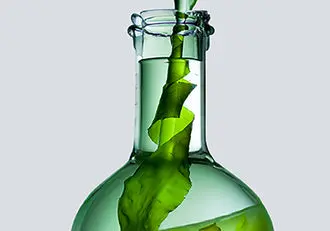 105657 Ban Website Redesign Mobile Assets Update Transp Banner FragancePhilosophy 375x262 f8a6de6c-4f3e-4770-916c-6226b219f331