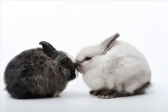 122566 Ban D2C Image Update-Transparency-01