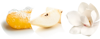 Group 20359 8 5ce42c53-847f-4518-9d51-765355f823a4