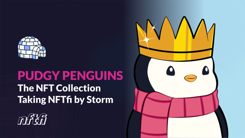Blog thumbnail PUDGY PENGUINS Collection Feature