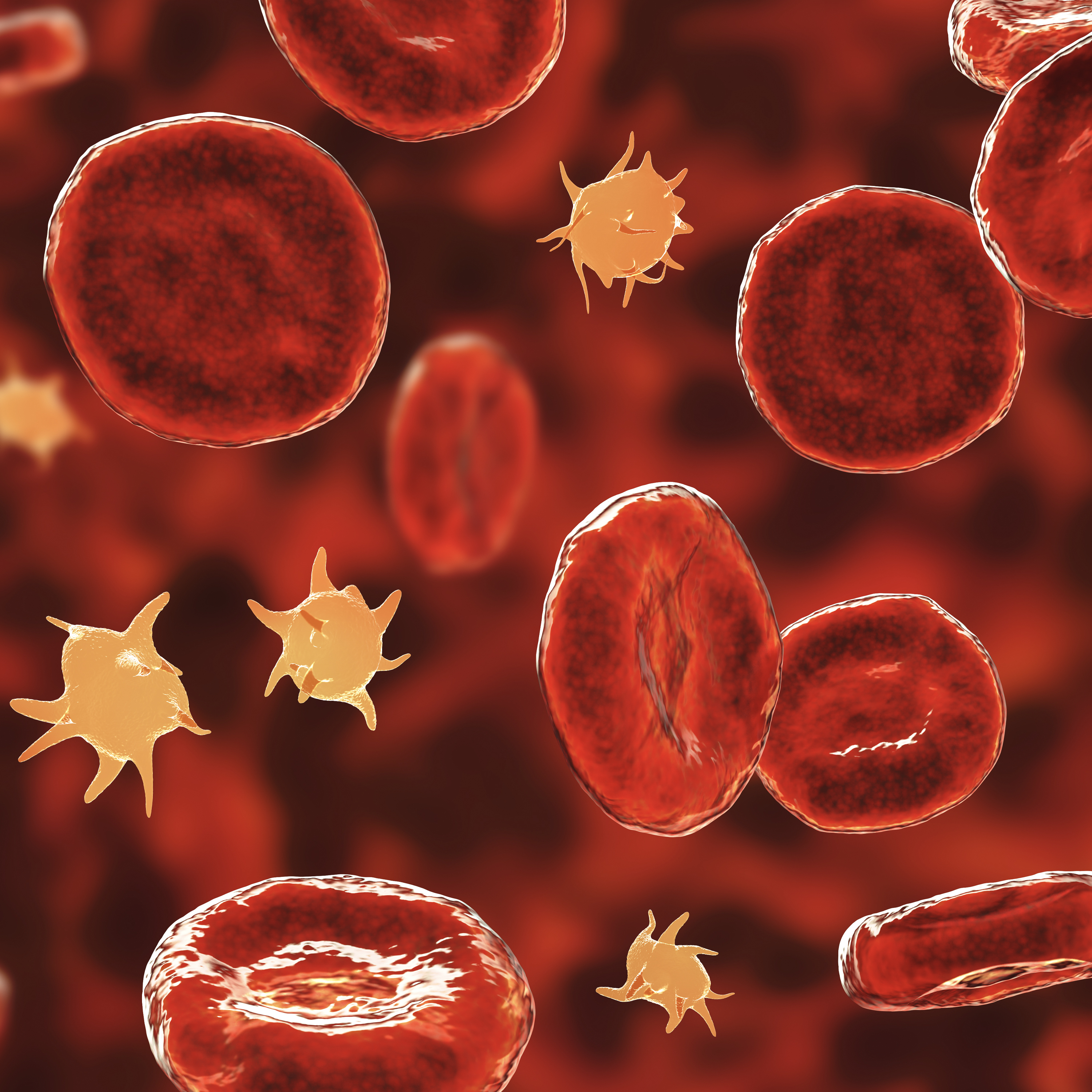 IgG4-Related Disease: Diagnostic Criteria and Tests
