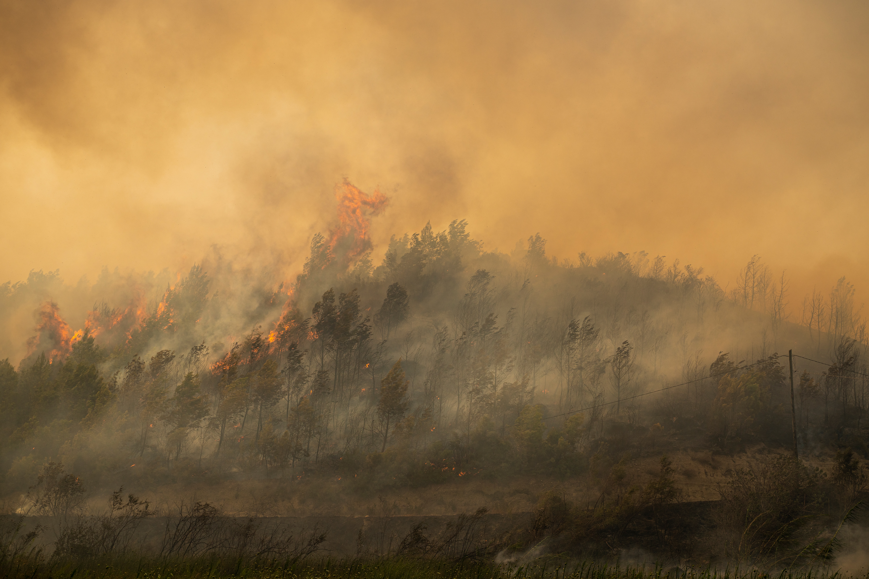 Wildfire Smoke Exposure Increases Risk of Dementia Diagnosis