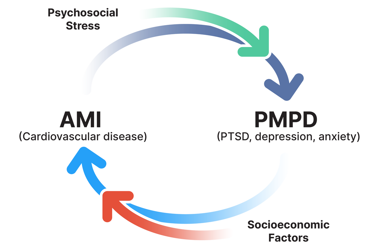 PMPD and AMI cycle