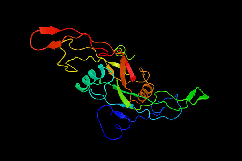 Novel Drug Combination Advances Beta Cell Regeneration in Diabetes