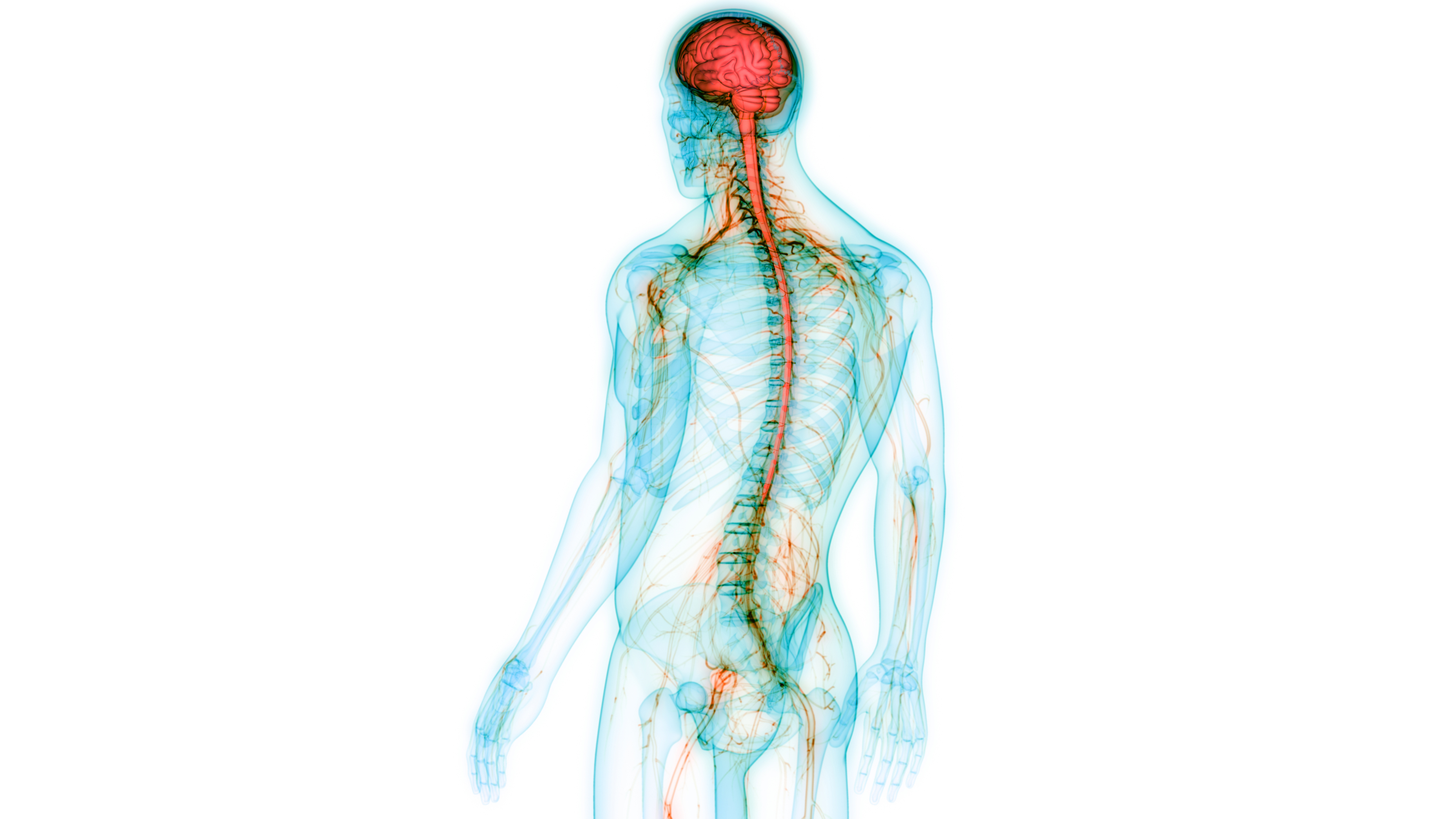 Low Back Pain and/or Nerve Impingement - Structura Body Therapies