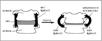 https://images.ctfassets.net/222znibi5gto/ppm_wysiwyg_fid1613_asset/bb55f746dffac421a0fefaa8ed01ac05/figure1.jpg