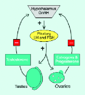 Opioid induced Sexual Dysfunction