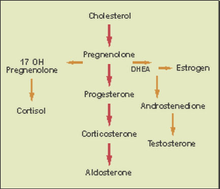 Hormone Treatments in Chronic and Intractable Pain