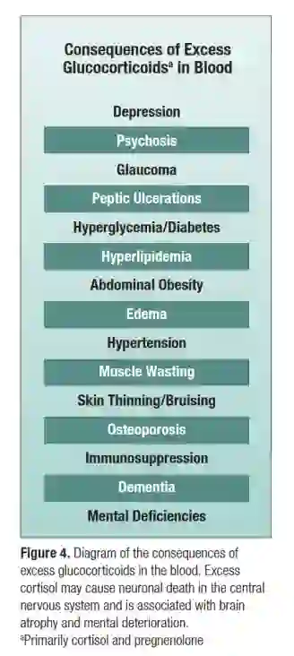 Figure 4. Diagram of the consequences of excess glucocorticoids in the blood. 