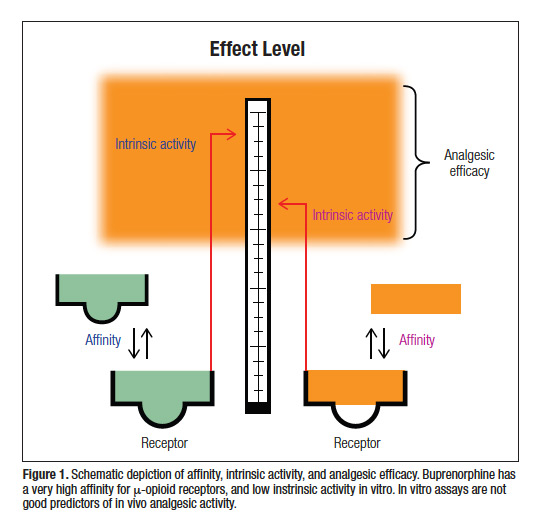 Is Buprenorphine a ‘Partial Agonist’? Preclinical and Clinical Evidence