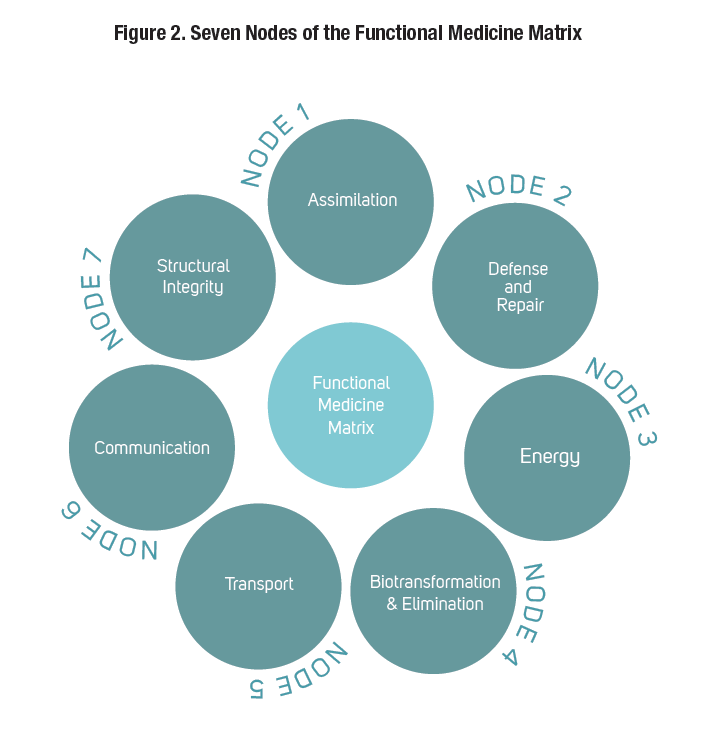 健康・医学 Effective Functional Progressions Effective Functional