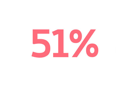 Percentage diagram depicting 51%