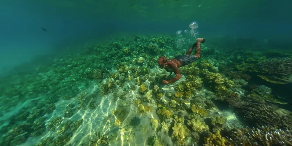 A snorkeler dives over a vibrant coral reef in clear turquoise water, exploring colorful marine life below.