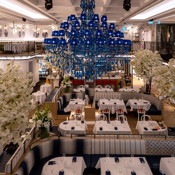 Interior shot of dining area in Madamoiselle Raw Bar and Grill