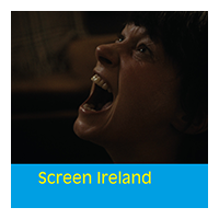 Screen Ireland logo