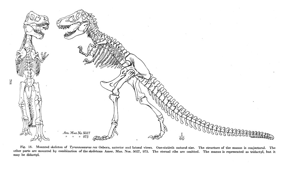 The Hidden History Of The Jurassic Park Logo