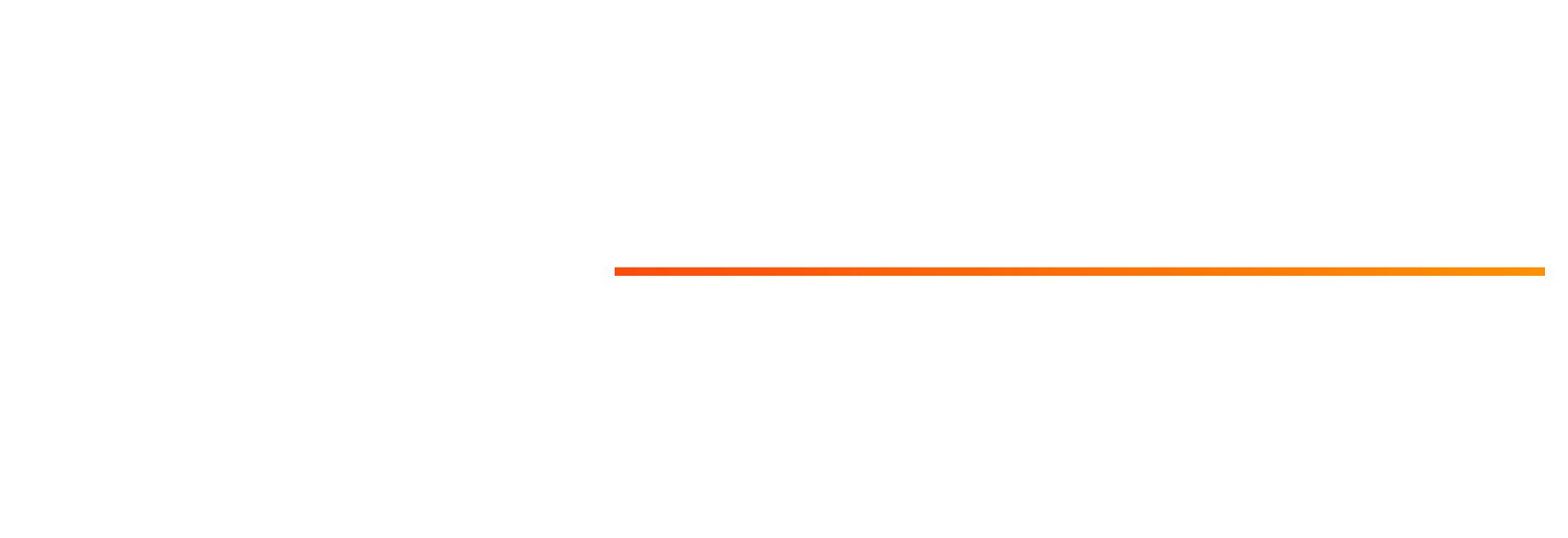 TIFF: The Market