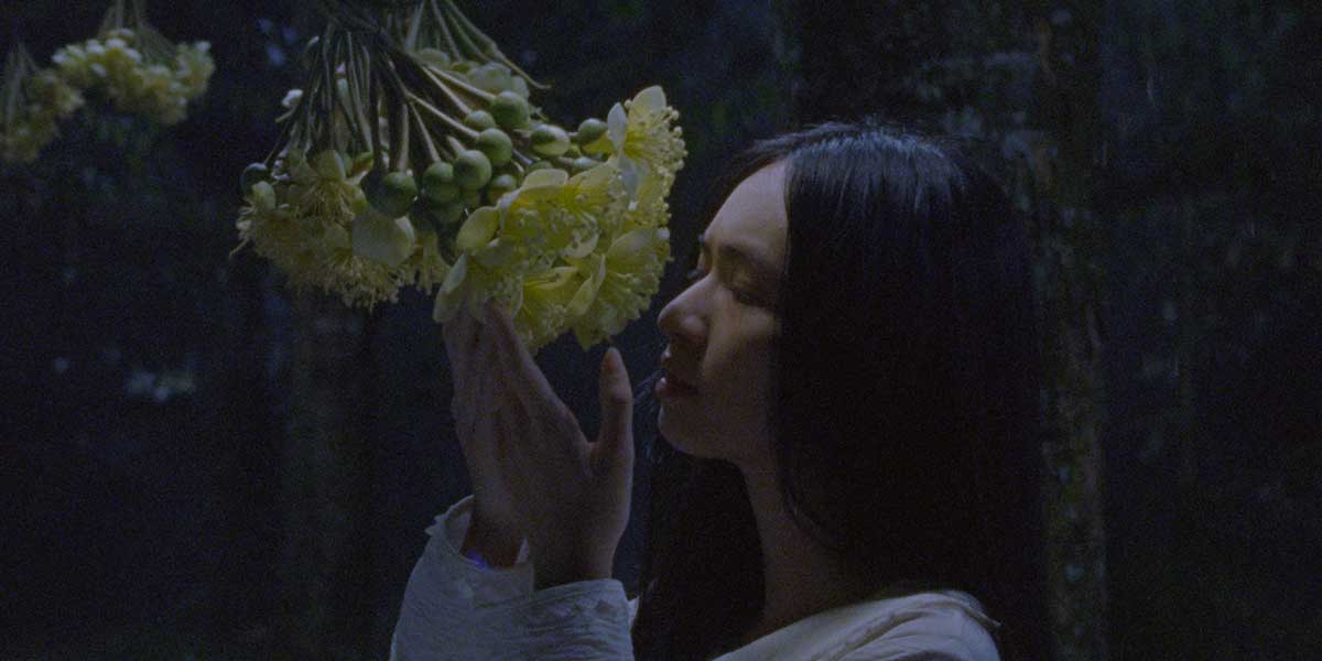 Person in white clothing smelling pale yellow elderflowers against dark background at night