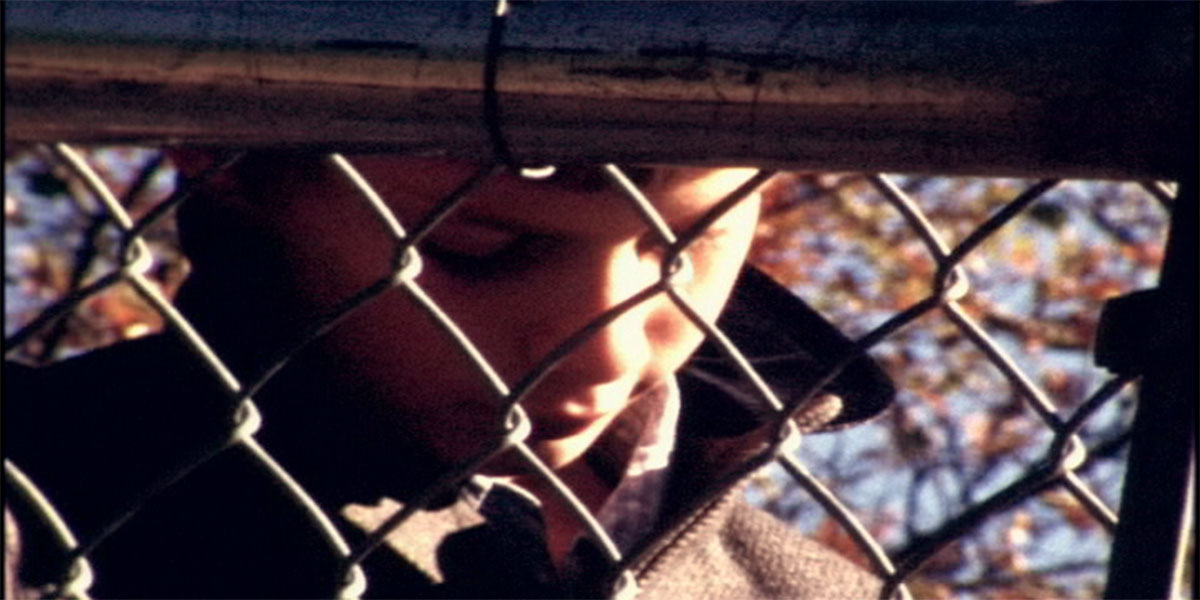 We're Going to the Zoo: Short Films by the Safdies