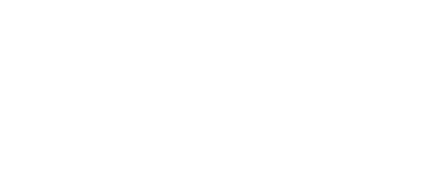 Reel Asian Film Festival