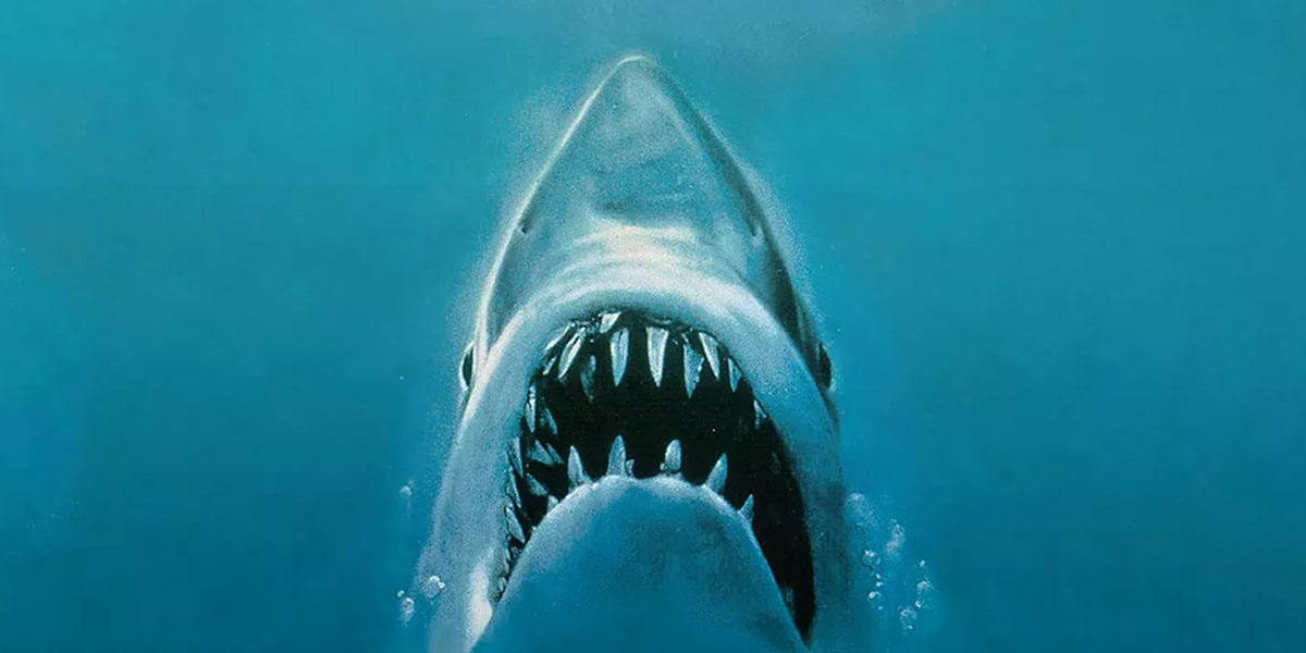 Great white shark with open jaws showing sharp teeth against turquoise underwater background