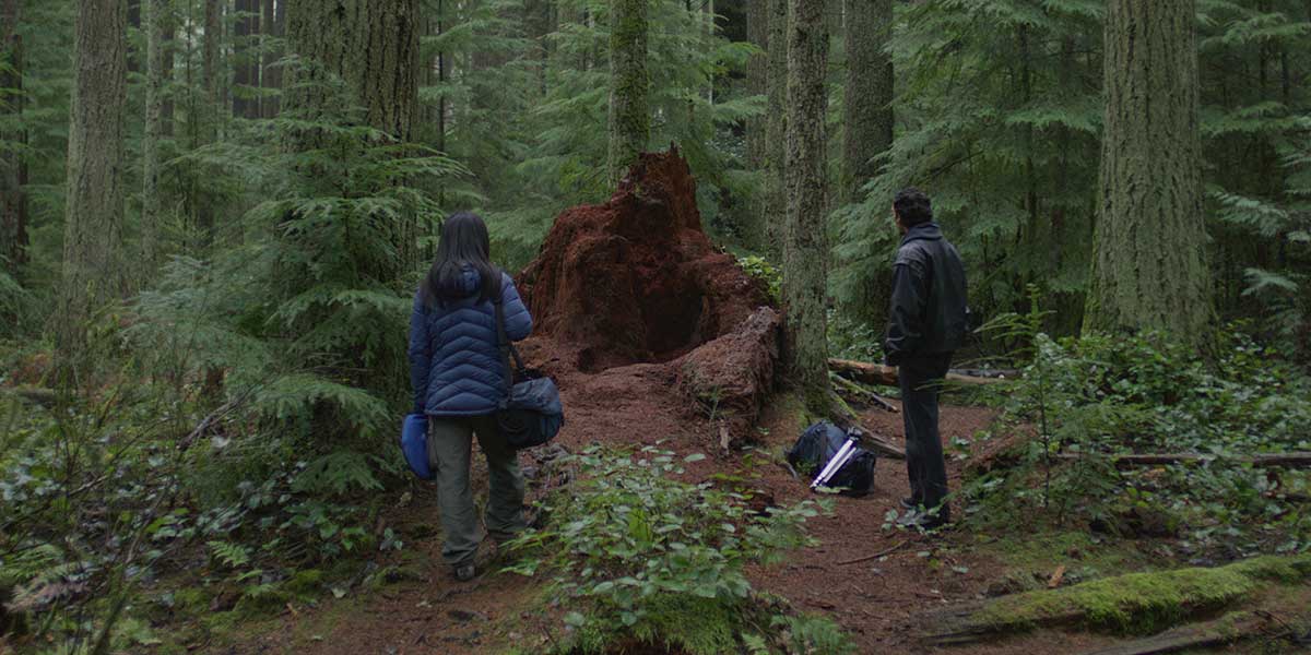 Pacific Spirit