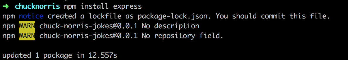 Install express via npm 5