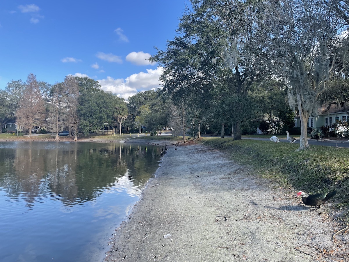 The shore of a small lake, with the lake to the left. This photo contains EXIF metadata - see if you can find which direction the camera was facing!