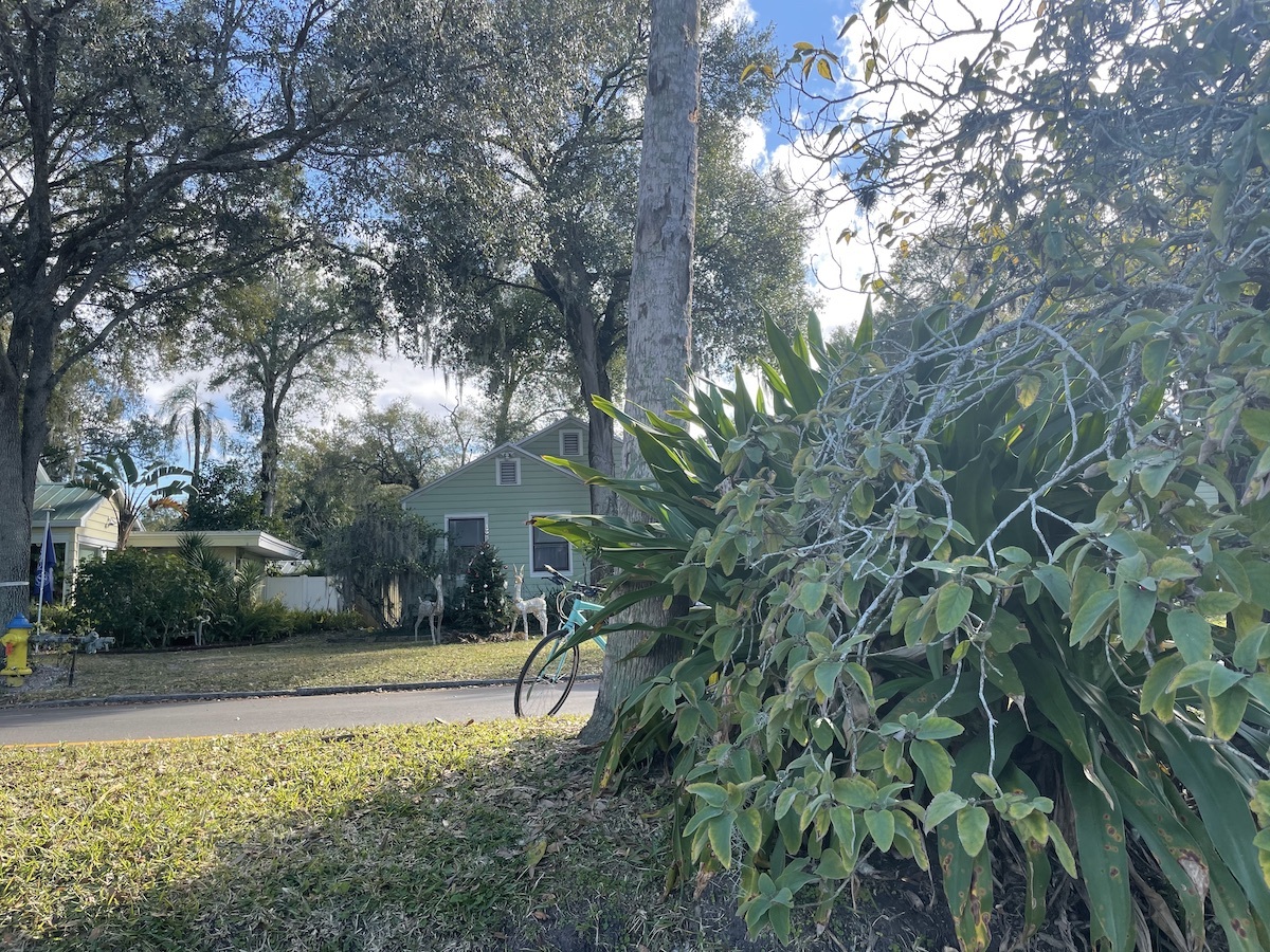 Bushes, a street with a parked bicycle, and houses. This photo contains EXIF metadata - see if you can find which direction the camera was facing!