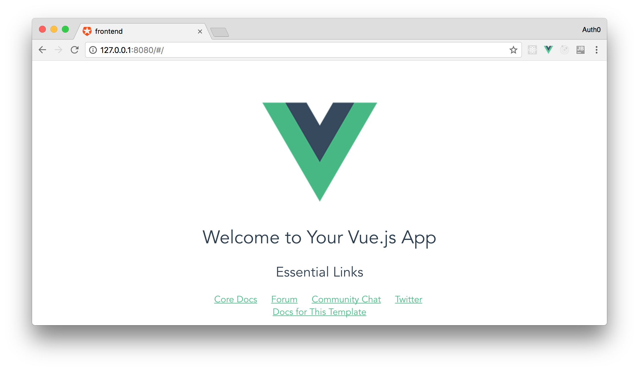 Vue.js localhost basic application