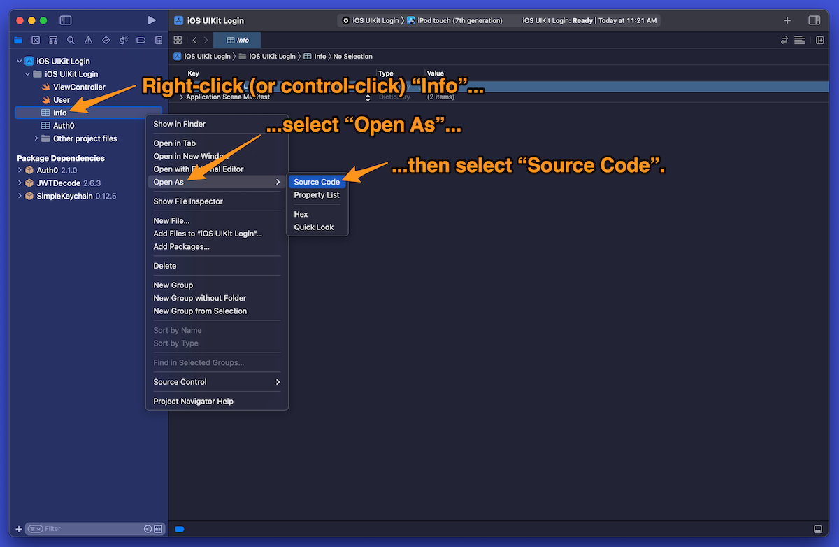 Xcode screenshot, showing the opening of Info.plist as XML (source code).