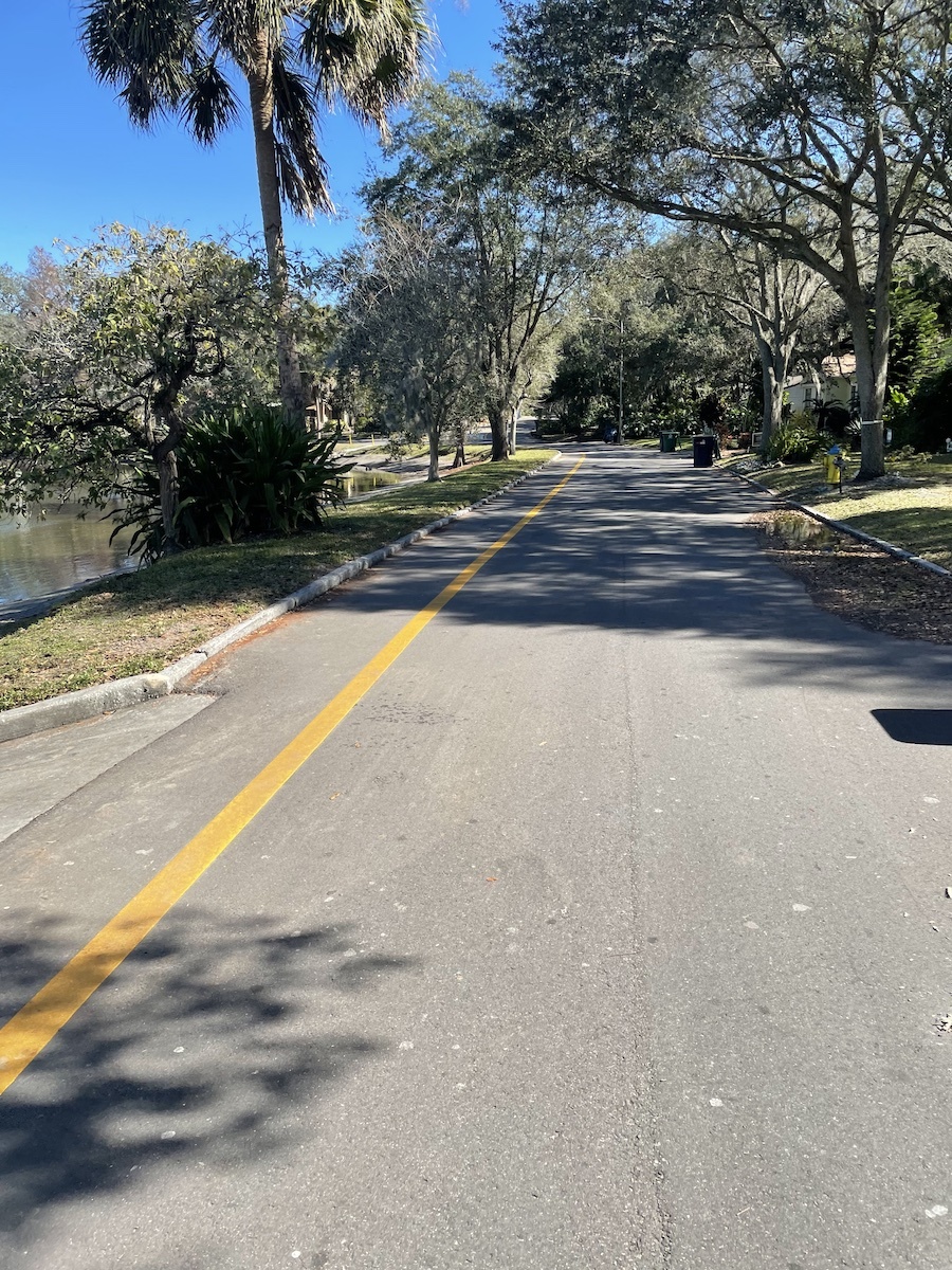 A residential street, as seen from the handlebars of a bicycle. This photo contains Exif metadata - see if you can find the speed at which the photographer was moving when it was taken!